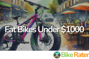 Fat Bikes Under $1000