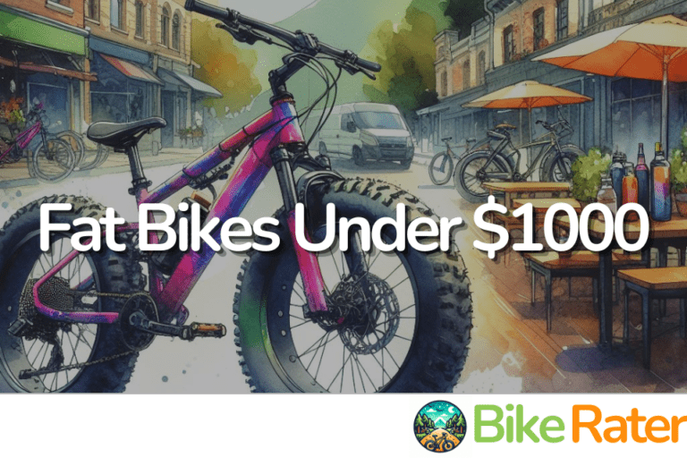 Buyer’s Guide: 4 Fat Bikes Under $1000 in 2024